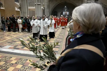 Procesije s maslinovim grančicama diljem Hrvatske: Posebno svečano u zagrebačkoj katedrali