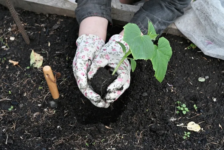 Travanj je najvažniji mjesec za vrt: Stručnjak savjetuje &scaron;to posijati za najbolji urod