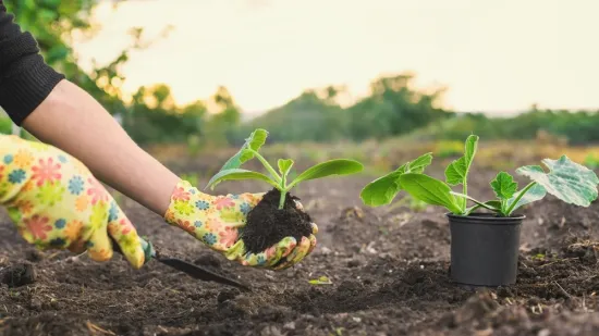 Travanj je najvažniji mjesec za vrt: Stručnjak savjetuje &scaron;to posijati za najbolji urod