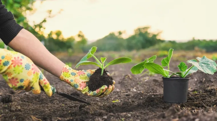 Travanj je najvažniji mjesec za vrt: Stručnjak savjetuje &scaron;to posijati za najbolji urod