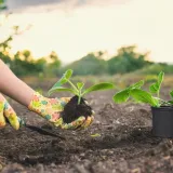 Travanj je najvažniji mjesec za vrt: Stručnjak savjetuje &scaron;to posijati za najbolji urod
