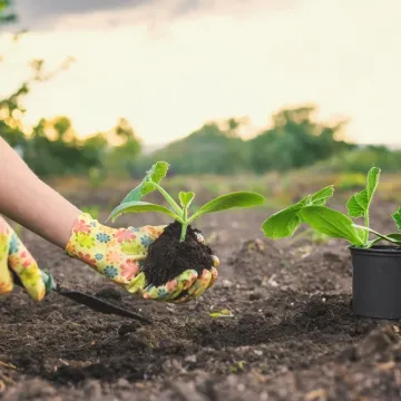 Travanj je najvažniji mjesec za vrt: Stručnjak savjetuje &scaron;to posijati za najbolji urod