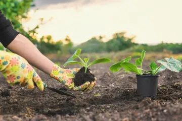 Travanj je najvažniji mjesec za vrt: Stručnjak savjetuje &scaron;to posijati za najbolji urod