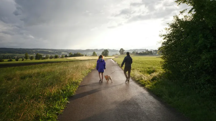 Par minuta ove aktivnosti dnevno čuva srce i mozak: Smanjuje rizik od te&scaron;kih bolesti