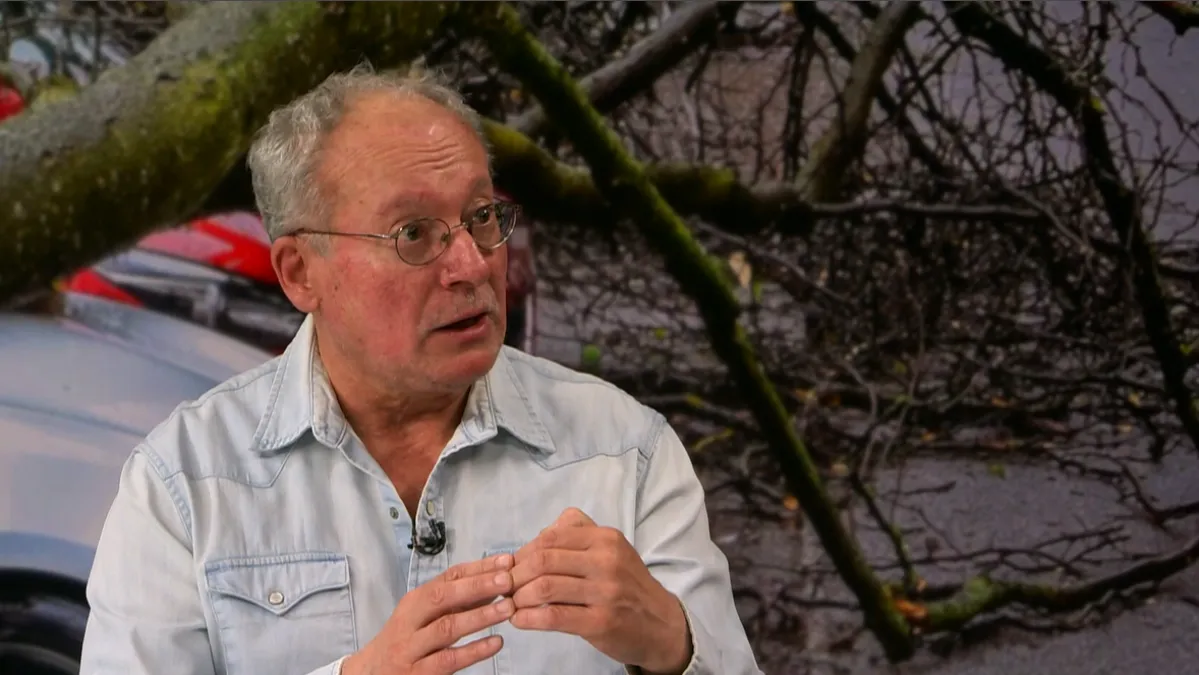 Trebamo li nakon oluje svih oluja drukčije graditi i saditi? Grisogono: 'Mi smo krivi...'