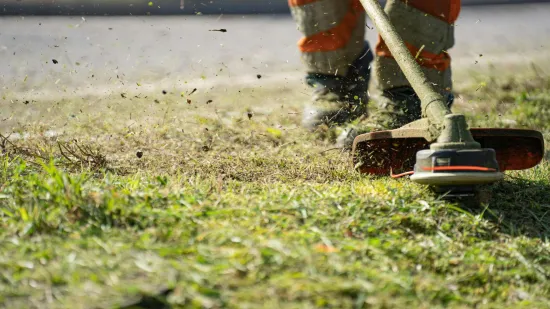 Prije nego upalite kosilicu, važno je znati pravilo od tri dana za bujan i zdrav travnjak