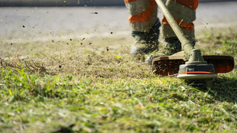 Prije nego upalite kosilicu, važno je znati pravilo od tri dana za bujan i zdrav travnjak
