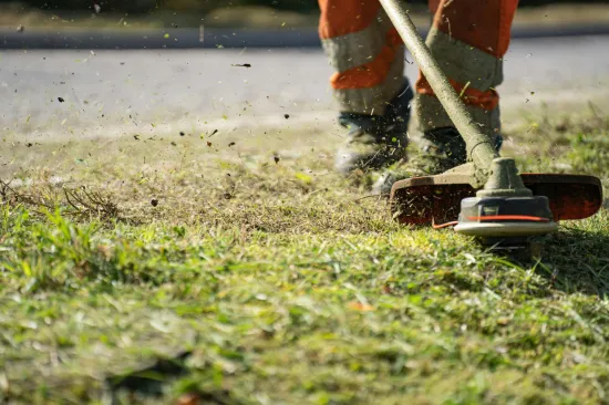 Prije nego upalite kosilicu, važno je znati pravilo od tri dana za bujan i zdrav travnjak