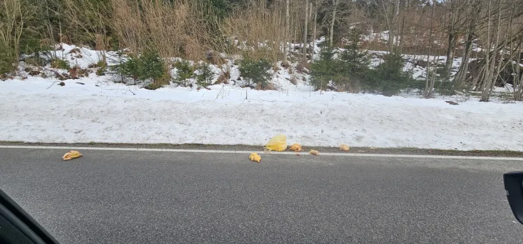 Odvratan prizor na staroj cesti kod Rijeke: 'Popadalo je vi&scaron;e paketa'