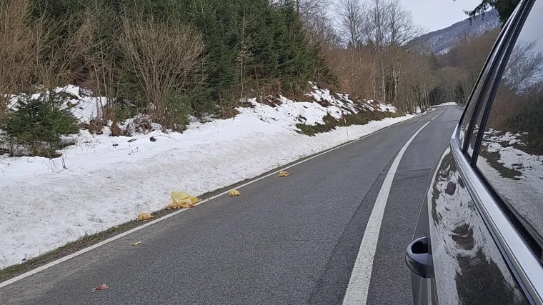 Odvratan prizor na staroj cesti kod Rijeke: 'Popadalo je vi&scaron;e paketa'