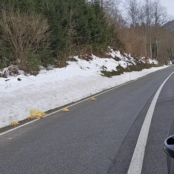 Odvratan prizor na staroj cesti kod Rijeke: 'Popadalo je vi&scaron;e paketa'