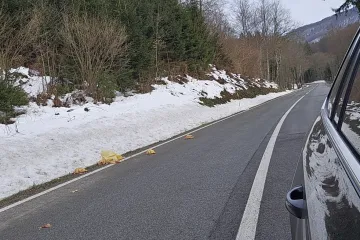 Odvratan prizor na staroj cesti kod Rijeke: 'Popadalo je vi&scaron;e paketa'