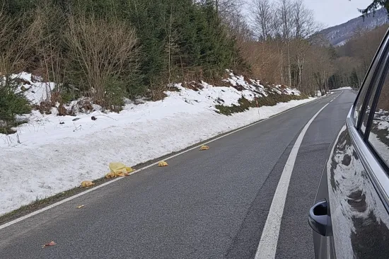 Odvratan prizor na staroj cesti kod Rijeke: 'Popadalo je vi&scaron;e paketa'