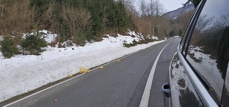 Odvratan prizor na staroj cesti kod Rijeke: 'Popadalo je vi&scaron;e paketa'