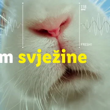 Lidl testira svježinu kroz kreativnu kampanju na dru&scaron;tvenim mrežama