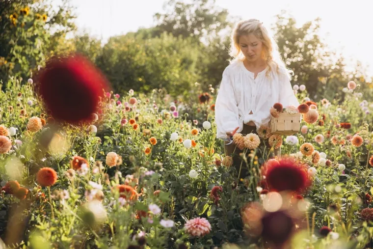 Ona je kraljica vrta: Cijenjena zbog duge sezone cvatnje i spektakla boja koji stvara
