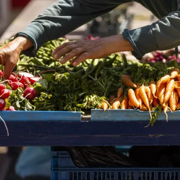Hrana će poskupjeti i 20 posto? Stručnjak: 'Jedan scenarij vodi u golemu inflaciju'