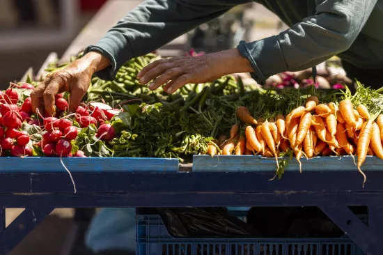Hrana će poskupjeti i 20 posto? Stručnjak: 'Jedan scenarij vodi u golemu inflaciju'