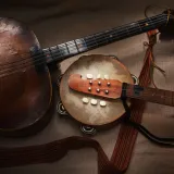 [KVIZ] Znate li gdje se sviraju tradicijska glazbala Hrvatske?