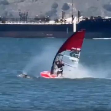 Surfer se sudario s golemim kitom: Lansirao ga je s daske i bacio u vodu