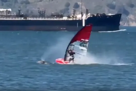 Surfer se sudario s golemim kitom: Lansirao ga je s daske i bacio u vodu