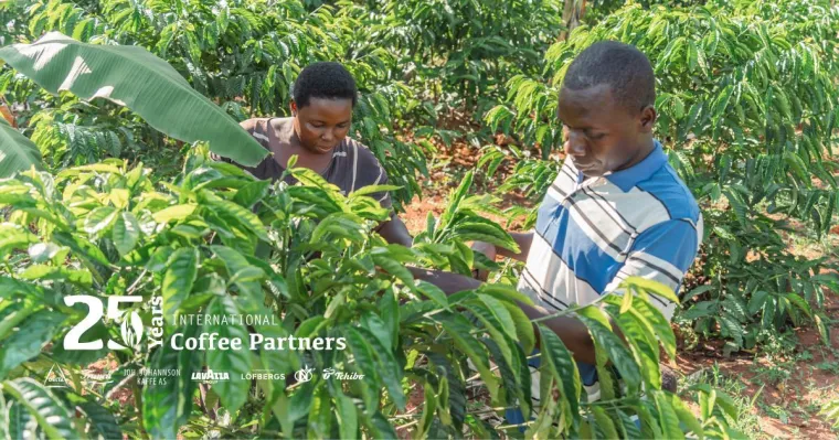 25 godina podr&scaron;ke obiteljima i zajednicama koje se bave uzgojem kave