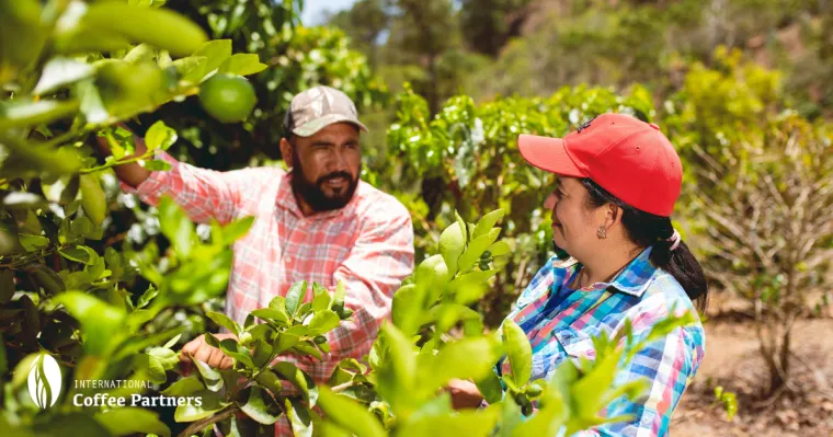 25 godina podr&scaron;ke obiteljima i zajednicama koje se bave uzgojem kave