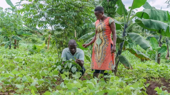 25 godina podr&scaron;ke obiteljima i zajednicama koje se bave uzgojem kave