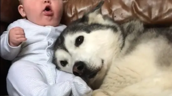 Da, ultimativna ljubav i bezrezervno prijateljstvo doista postoje