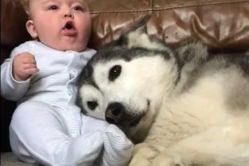 Da, ultimativna ljubav i bezrezervno prijateljstvo doista postoje