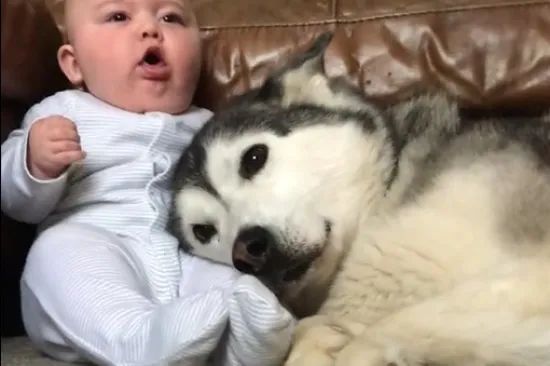 Da, ultimativna ljubav i bezrezervno prijateljstvo doista postoje