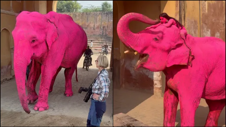 Ružičasti slon &scaron;okirao javnost: Umjetnica pod istragom zbog 'zlostavljanja' životinje u hramu