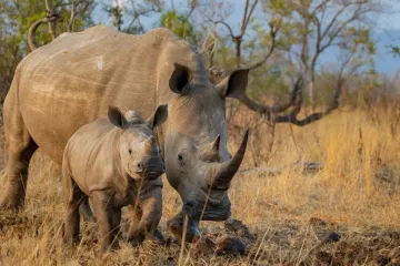 [KVIZ] Kolika je prosječna težina ovih životinja?
