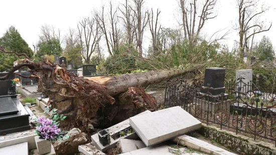I&scaron;čupana stabla, uni&scaron;teni spomenici: Ovo je iza sebe ostavila orkanska oluja na Mirogoju