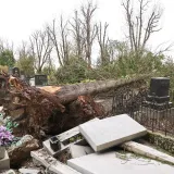 I&scaron;čupana stabla, uni&scaron;teni spomenici: Ovo je iza sebe ostavila orkanska oluja na Mirogoju