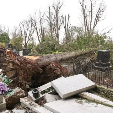 I&scaron;čupana stabla, uni&scaron;teni spomenici: Ovo je iza sebe ostavila orkanska oluja na Mirogoju