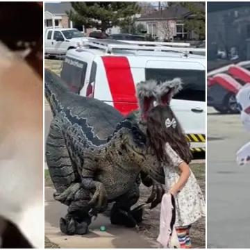 Sretan Uskrs uz najluđe prizore podijeljene na internetu: Neki će vas nasmijati do suza