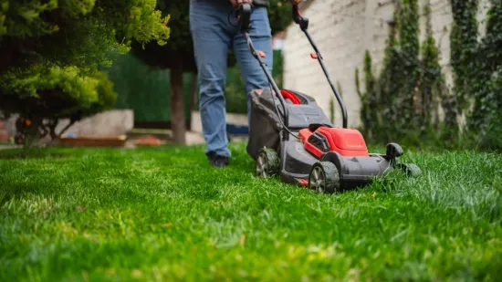 Za gu&scaron;ći i zeleniji travnjak iskoristite ovaj mali trik: Rezultati će biti divni i dugoročni