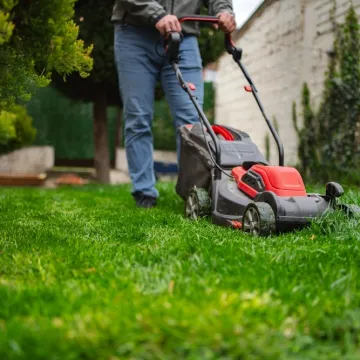 Za gu&scaron;ći i zeleniji travnjak iskoristite ovaj mali trik: Rezultati će biti divni i dugoročni