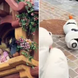 &Scaron;to se događa s Disneyjevim junacima? Zlatokosi vrane čupaju kosu, Olaf kolabirao ispred djece