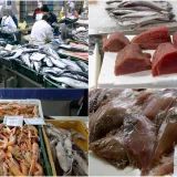 Ponuda riba na Veliki petak nikad veća, a kupaca nikad manje: Pogledajte ove cijene