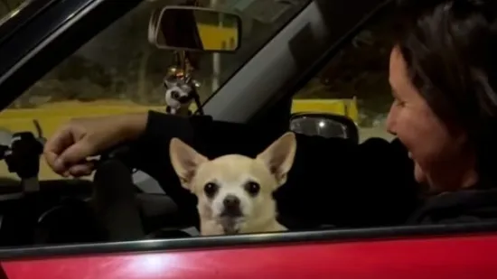 Prizor kakav se ne viđa tako često u prometu