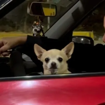 Prizor kakav se ne viđa tako često u prometu