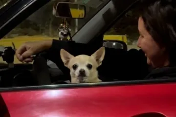 Prizor kakav se ne viđa tako često u prometu