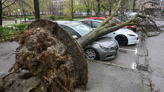 &Scaron;okantni razmjeri &scaron;tete u Zagrebu: O&scaron;tećeno na tisuće stabala, na terenu vi&scaron;e od 400 djelatnika