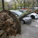 &Scaron;okantni razmjeri &scaron;tete u Zagrebu: O&scaron;tećeno na tisuće stabala, na terenu vi&scaron;e od 400 djelatnika