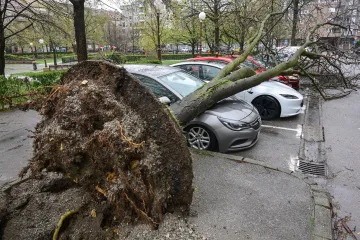 &Scaron;okantni razmjeri &scaron;tete u Zagrebu: O&scaron;tećeno na tisuće stabala, na terenu vi&scaron;e od 400 djelatnika