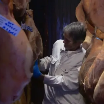 Drugi gube živce zbog bure i kaosa, oni trljaju ruke: 'Mi prozore &scaron;irom otvaramo!