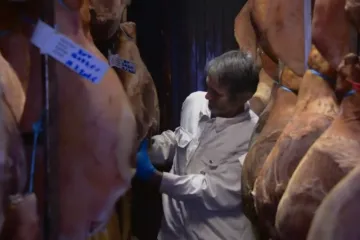 Drugi gube živce zbog bure i kaosa, oni trljaju ruke: 'Mi prozore &scaron;irom otvaramo!