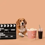 [KVIZ] Znate li kojih su pasmina ovi psi iz filmova?